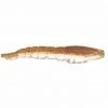 Berkley Gulp! Translucent Shrimp Scooby 4" 4pk 2 Berkley Gulp! Translucent Shrimp Scooby 4" 4pk