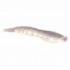 Lures & Bait Berkley Gulp! Translucent Shrimp Starry Night 4" 4ct 2 Lures & Bait Berkley Gulp! Translucent Shrimp Starry Night 4" 4ct