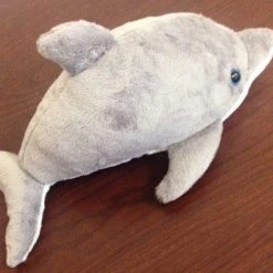 Bluewater Outriggers Beach & Home Port St. Joe Dolphin