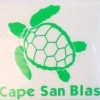 Auto-Graphs Decals Cape San Blas Sea Turtle Green Decal
