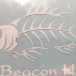 Auto-Graphs Beacon Hill Angry Fish Decal