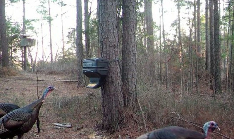 Moultrie 6 Gal. Gravity Feeder Station MFG-13104 Hunting 5 Moultrie 6 Gal. Gravity Feeder Station MFG-13104 Hunting