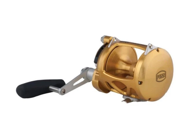 Reels Penn International VI INT50VISW 5 Reels Penn International VI INT50VISW