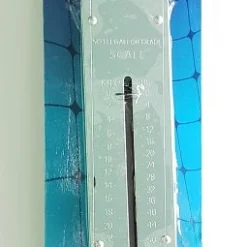 Pucci 50lb Scale With Brass Spring SS-50 LB