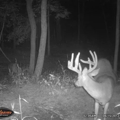 Wildgame Innovations Wildgame Cloak 4 Lightsout Trail Camera K4B1 13 Wildgame Innovations Wildgame Cloak 4 Lightsout Trail Camera K4B1